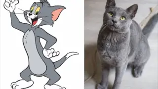 [Tom And Jerry] The Breed Of The Character