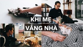 Khi mẹ vắng nhà: Chó mèo ở nhà một mình thế nào khi mình đi vắng