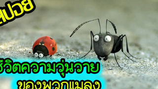 ไอป้อมดแดงเผด็จการ l สปอยหนัง l - หุบเขาจิ๋วของเจ้ามด 1