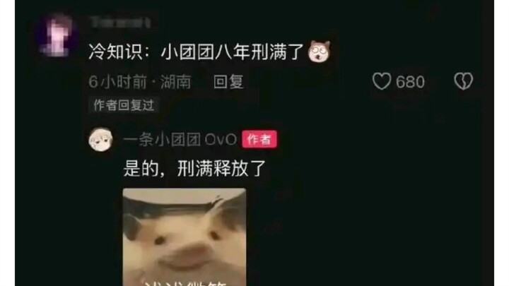 无人关注的角落，一条小团团刑满释放复活成功！话说pdd呢，去日本不敢回国了？