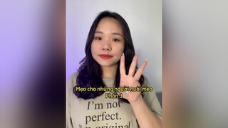 Dấu hiệu nhận biết mèo bị giận tai cat mèo mẹohay LearnOnTikTok thaomeo