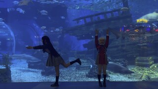 Lycoris Recoil - real cos of the aquarium