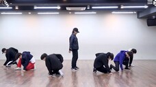 BTS Best Of Me Mirrored Dance Practice