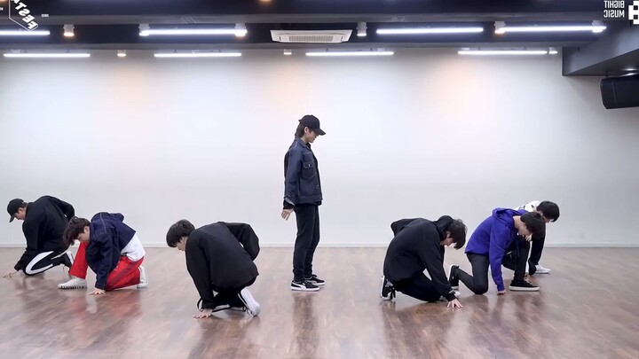 BTS Best Of Me Mirrored Dance Practice