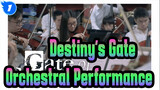 [Destiny's Gate] [Hong Kong Fan Orchestra] Gate of Steiner - Orchestral Performance_1