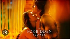 THE FORBIDDEN FLOWER Episode 9 Tagalog Dubbed