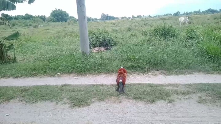 exercise muna mga warior naten