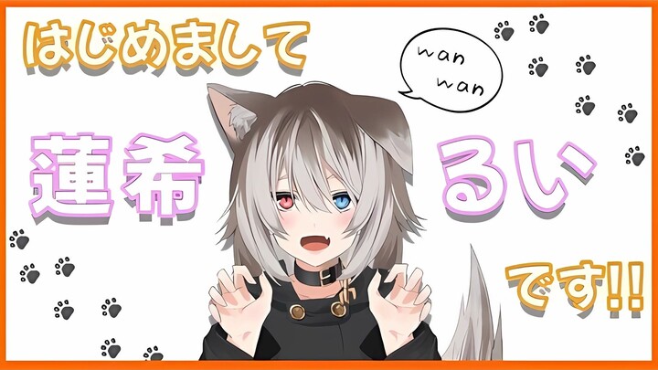 【自己紹介】初次见面🐕我是蓮希るい~🐾【蓮希るい】