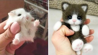 น่ารักมาก! Cutest baby animals Videos Compilation Cute moment of the Animals - Cutest Animals 20
