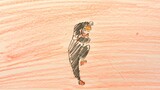 [Super burst liver] Jujutsu Kaisen pencil hand-painted ed! 400 drawing sheets