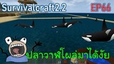 จับปลาวาฬเพชฌฆาตฝูงใหญ่ แปลกใจโผล่มาจากไหนหนึ่งตัว | survivalcraft2.2 EP66 [พี่อู๊ด JUB TV]