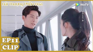 Clip |  Hải Thượng Phồn Hoa | Tập 11 (Vietsub)  | Lý Thấm & Trương Vân Long & Đậu Kiêu