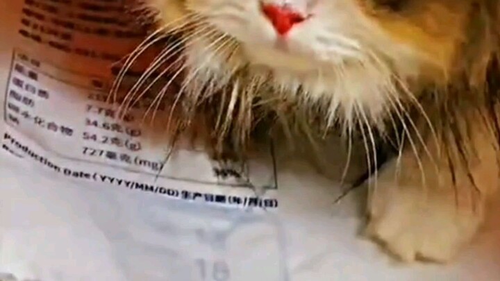 cute 🥰🥰