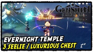 Evernight Temple 3 Seelie Luxurious Chest Puzzle Guide | Genshin Impact |