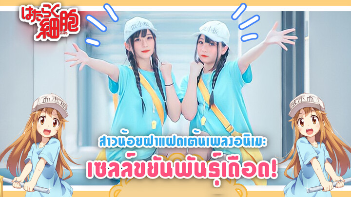 【Cover Dance】สาวน้อยคู่แฝดเต้นเพลงประกอบอนิเมะเรื่อง เซลล์ขยัน พันธุ์เดือด