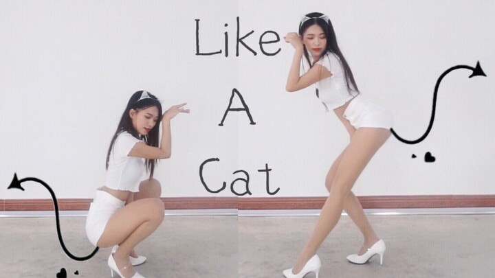 [Xiao Yiyan] The unsexy white cat tickles people online AOA-Cat Step Qingqiao