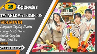 twinkling water melon ep 25 Tagalog dubbed