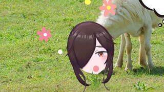 【三日暦】Herbivore Vtuber