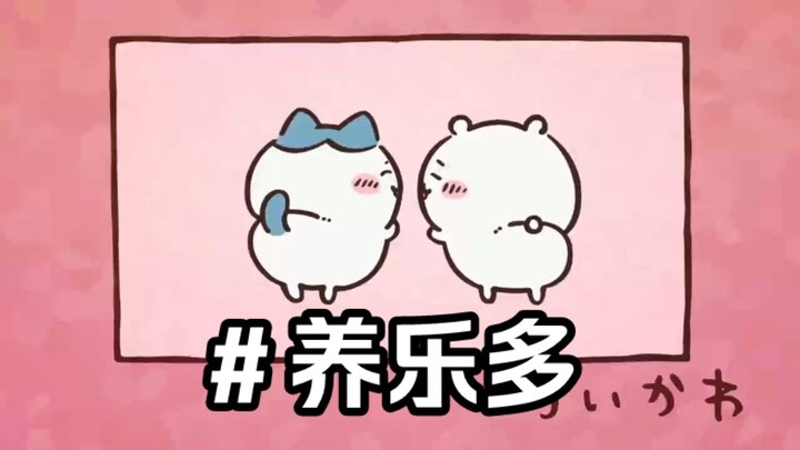 大连话版chiikawa第七集 养乐多