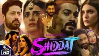 Shiddat full Movie in Hindi _ Bollywood Movie _ Sunny Kaushal _ Radhika Madan _