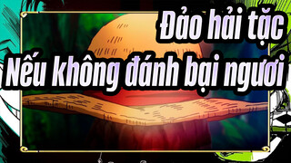 [Đảo hải tặc] Nếu không đánh bại ngươi, Ta sẽ khổng thể bảo vệ được gì