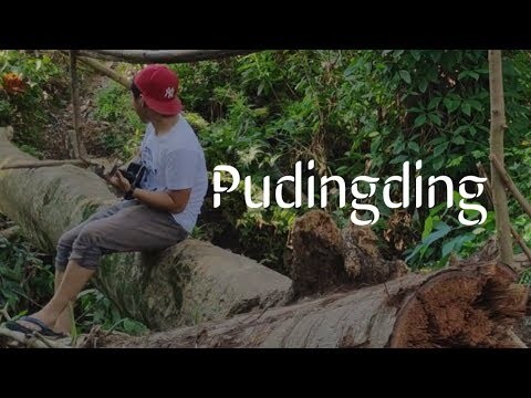 PUDINGDING