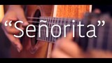 Senorita- Shawn Mendes & Camila Cabello Fingerstyle Guitar Cover