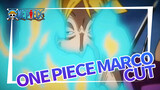 One Piece EP 988 Marco cut