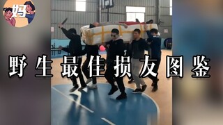 【野生人类图鉴】遇到这些老六，我是真的栓Q啦【妈见打】