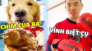 Tứ Mao | Tứ Mao Cả Gan "THỊT" Chim Quý Của PAPA Và Luật Hoa Quả Không Trừa Một Ai  🤣Gâu Đần Official