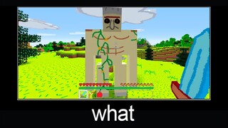 Minecraft wait what meme part 9