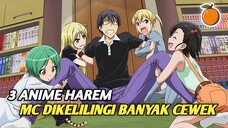 3 Rekomendasi Anime Harem Dengan MC Diperebutkan Banyak Cewek‼️