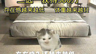 二选一获得500万