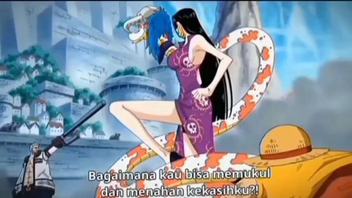 Galak & sangar sama yang lain tapi meleleh sama Luffy doang 😅