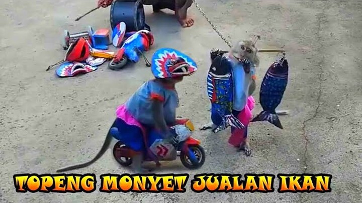 TOPENG MONYET LUCU BANGET - FUNNY MONKEY