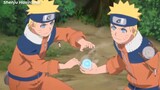 Sasuke Ám Sát Bé Đào-5 Quyết Định Thay Đổi Vận Mệnh Thế Giới Naruto-P4
