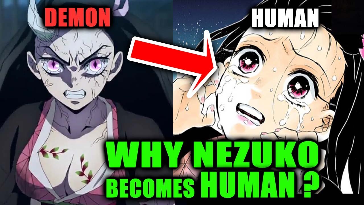 Will Nezuko be able to stay in sunlight in Demon Slayer S3?