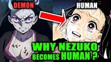 [Swordsmith Village Arc]Why Demon Nezuko becomes human again ?[conquering the sun][Demon Slayer]