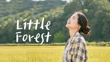 Little Forest sub Indonesia (2018) Korean Movies