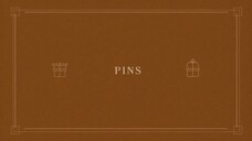 07. Pins