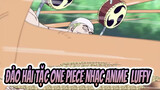[Đảo hải tặc One Piece Nhạc Anime] Cảnh phim Luffy ngốc nghếch kinh điểm