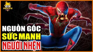 SỨC MẠNH CỦA SPIDER-MAN DỰA TRÊN NHỮNG LOÀI NHỆN NÀO? | meXINE Khoa Học #12