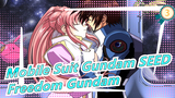 [Mobile Suit Gundam SEED] Freedom Gundam Is the Srongest!_3