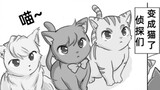 Mingke F4 went to a hot spring/the detectives turned into cats