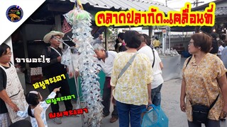 ตลาดปลากัดเคลื่อนที่!!มัดกันเป็นพวงๆสไตล์korattv