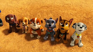 Paw Patrol Save the Dino Dycorp