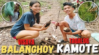 NANGUWA KAME NANG BALANGHOY (SA TAGALOG KAMOTENG KAHOY)