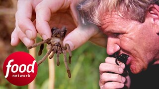 Gordon Ramsay Tries To Eat A Fried Spider In Cambodia | Gordon's Great Escape