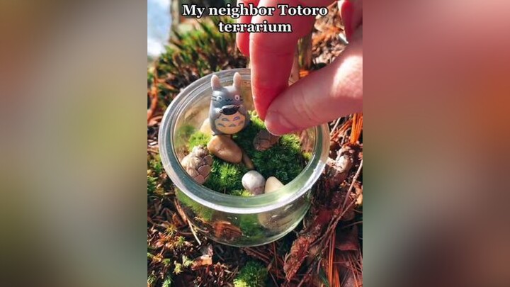 My Neighbor￼ Totoro terrarium￼🌱🌰🥺anime Terrarium￼ studioghibli totoro myneighbortotoro fyp forupage fup foryou foryourpage fypage fu