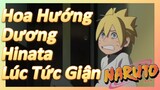 Hoa Hướng Dương Hinata Lúc Tức Giận